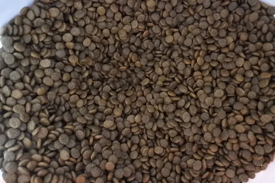 Marp Holistic Turkey - krůta 12/17/2 kg