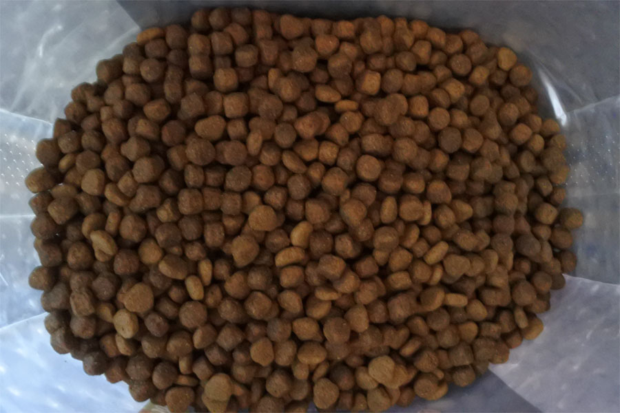 Marp Natural Farmland - kachna 12 kg