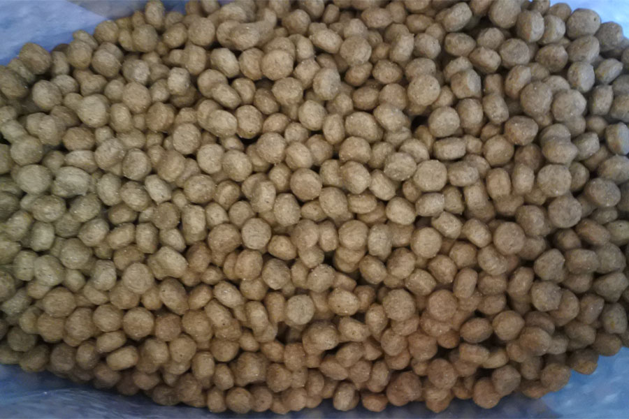 Marp Variety Grass Field - jehně 12 kg