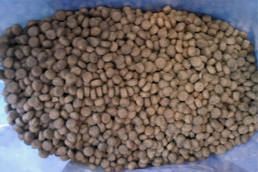 Marp Variety Blue River - losos 12 kg